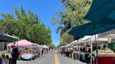 I went shopping at the Modesto farmers market with a $20 budget. Here’s what I got