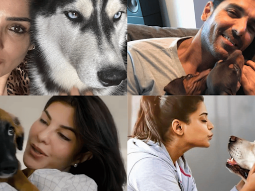 Pet Parents Raveena Tandon, John Abraham, Priyamani, Others Share Wisdom On aA 'Pawrfect' Summer