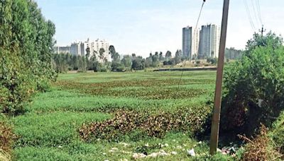 Restored Bidare Agrahara Lake promises serenity