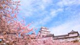 Must-See Sakura Ranking: Top 100 Cherry Blossom Spots in Japan