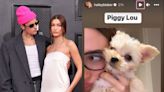 Justin and Hailey Bieber introduce new puppy named Piggy Lou