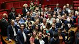 Indépendantiste, Gilet jaune, "fiché S"… de nouveaux visages à l'Assemblée nationale