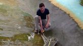 British crocodile expert who hosted Attenborough pleads guilty to 56 counts of ‘grotesque and perverse’ animal sexual abuse