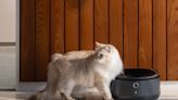 Petlibro’s new smart refrigerated wet food feeder is what your cat deserves | TechCrunch