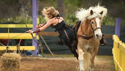 Brevard-Melbourne land swap could create new home for Renaissance Fair after Wickham Park