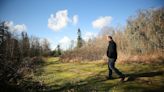 Affordable homeownership could come to Kingston, but neighbors worry over wetland property