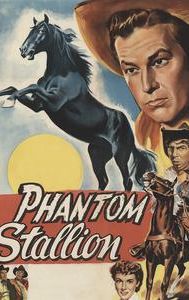 The Phantom Stallion