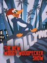 The New Woody Woodpecker Show