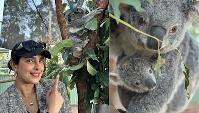 Priyanka Chopra Jonas Delighted By Koala Named After Her In Australia