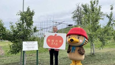 日本弘前市將臺南訪問紀念植樹命名總統之樹 紀念兩市情誼及慶祝總統就職