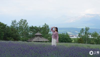 2024 北海道富良野薰衣草季直擊！富田農場超仙紫色花海「這時」最美、必吃薰衣草冰淇淋 | 蕃新聞