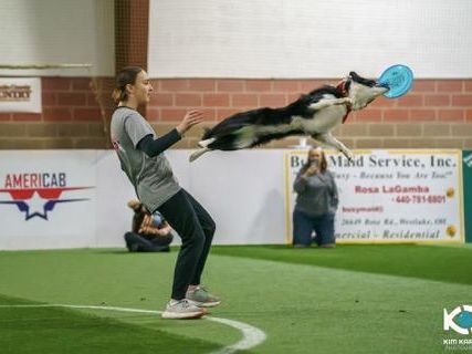 Midland teen Olivia Befus excels in national dog agility shows