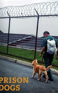 Prison Dogs