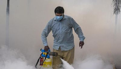 Union health ministry directs states to intensify surveillance for Zika virus infections, screen pregnant women