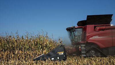 Corn Slumps to Lowest Since 2020 on Midwest Rain Forecast