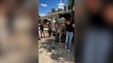 La increíble reacción de Leño, un caballo rescatado, al llegar al santuario de animales