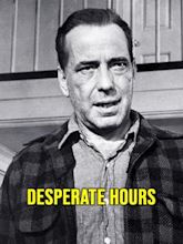 The Desperate Hours (1955 film)