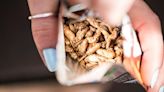 “The timing for edible insects could not be better” – Eat Grub co-founder Shami Radia, the bitesize interview