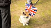 British slang might not be the dog’s bollocks much longer