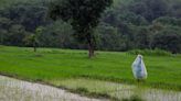 Climate change makes India’s monsoons erratic. Can farmers still find a way to prosper?