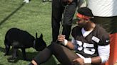 Cleveland Browns DE Myles Garrett provides a peek into a life that's gone to his dog, Gohan