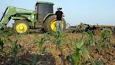 Comunidad menonita desmiente a la Fiscalía sobre acusaciones de deforestación en los Llanos