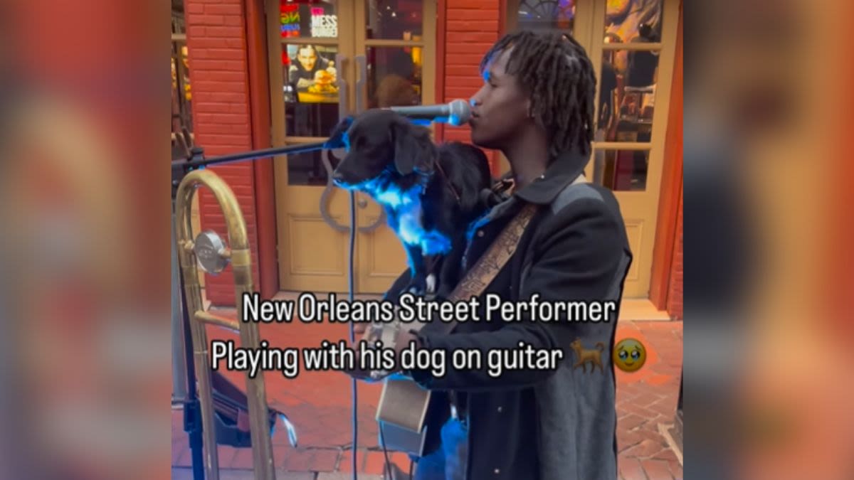 New Orleans Busker Jams Out With His Pooch Perched Atop Guitar