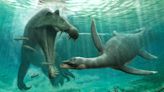 The real Loch Ness monster? Researchers make unusual freshwater fossil find.