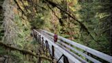 This Little-known Washington Town Is a Gateway to Wild Pacific Ocean Beaches and a Gorgeous National Park — and It's the 'Twilight' Capital