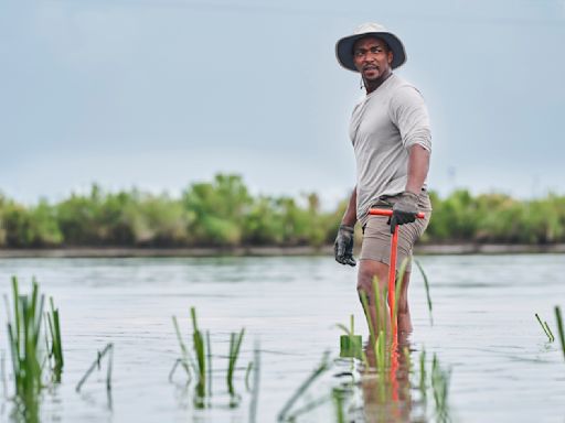 Anthony Mackie de “Captain America” tiene el superpoder de nadar con tiburones