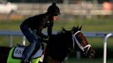 Fierceness, Sierra Leone top Kentucky Derby field with Bafftert banned