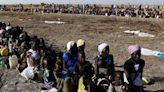 One third of Sudanese facing acute food insecurity - WFP