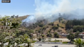 Firefighters quickly contain 3-acre Hollywood Hills brush fire