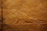 Lion Hunt of Ashurbanipal