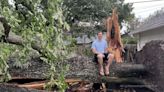 'Ancient' oak tree falls on ABC13 Meteorologist Kevin Roth's house