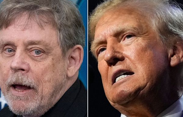 ‘Don’t Call Him Don’: Mark Hamill Taunts Trump With A Biting New First Name