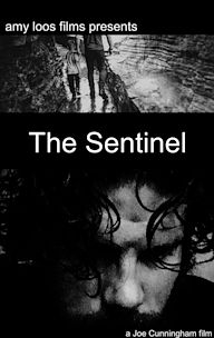 The Sentinel - IMDb