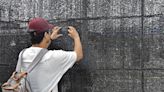 Sightseers in Japan Poke Holes in Barrier Meant to Keep Them Away