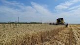 Los agricultores ucranianos confían en el corredor de exportación mientras sube el coste de la guerra