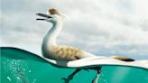 Newly Discovered Dinosaur Looks Like a Nightmare Goose