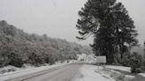 Video: llegó la nieve a Villa Pehuenia Moquehue y brilla con su aspecto encantador