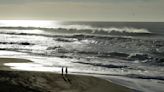 Northern California seashore searched for missing swimmer after unconfirmed report of a shark attack