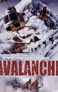 Avalanche: Nature Unleashed