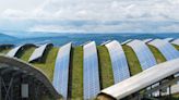 Solar power expected to dominate electricity generation by 2050 – even without more ambitious climate policies