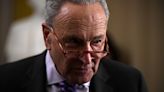 Schumer calls on GOP lawmaker to delete ‘antisemitic, disgusting’ post