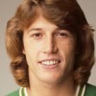 Andy Gibb