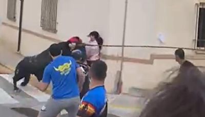 Una mujer se salva por poco de ser corneada por un toro en la Font de la Figuera