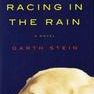 The Art of Racing in the Rain