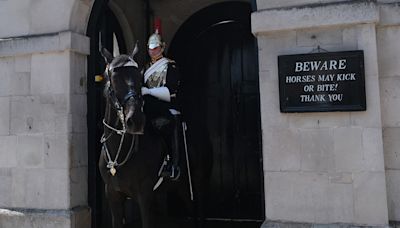 King Charles’ guard horse bites tourist posing for photo: ‘Thought she was going to pass out’