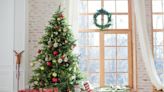 Here’s How to Order Your Christmas Tree Online This Year